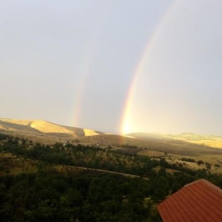 Vila Bliznakinja B Zlatibor Bagian luar foto