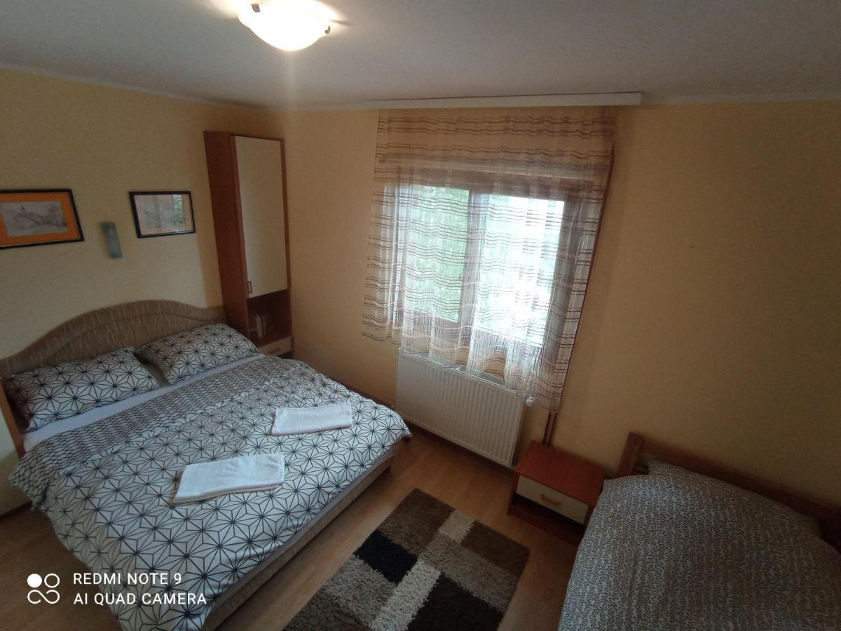 Vila Bliznakinja B Zlatibor Bagian luar foto