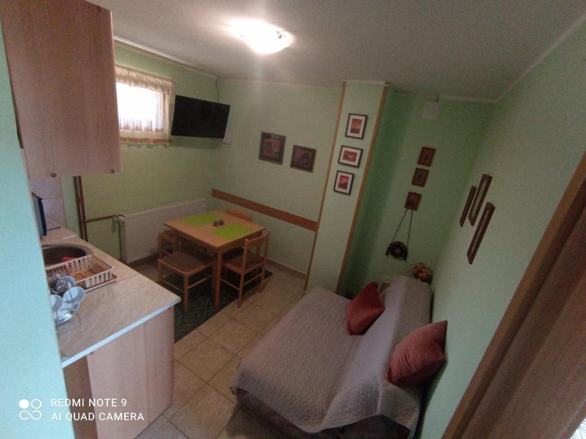 Vila Bliznakinja B Zlatibor Bagian luar foto