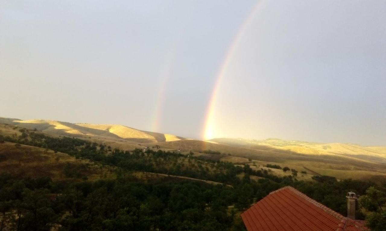 Vila Bliznakinja B Zlatibor Bagian luar foto
